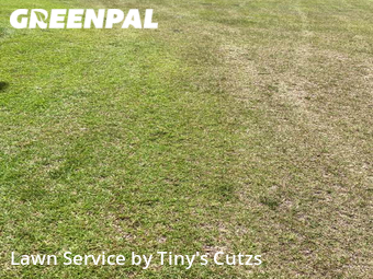 Lawn Care Service nearby Valdosta, GA, 