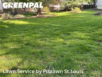 Grass Cutting nearby Chesterfield, MO, 