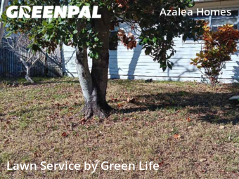 Lawn Cut nearby St. Petersburg, FL, 