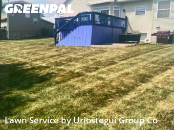 Grass Cut nearby Winthrop Harbor, IL, 