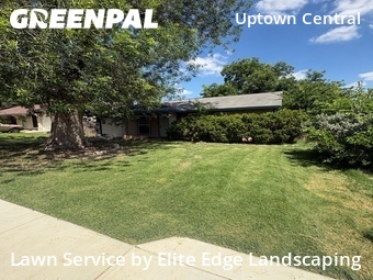 Lawn Maintenance nearby San Antonio, TX, 