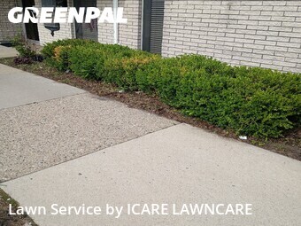 Lawn Care nearby Eastpointe, MI, 