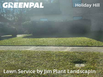 Grass Cuttingin Jacksonville,32216,Lawn Mowing by Jim Plant Landscapin, work completed in Dec , 2025