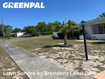 Lawn Cut nearby Spring Hill, FL, 