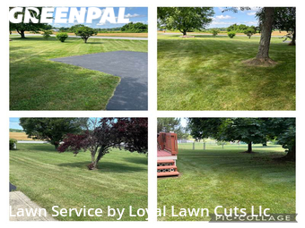 Yard Cutting nearby Vermilion, OH, 