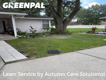 Lawn Cut nearby Tampa, FL, 