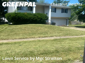 Yard Care in Elyria, 44035, Weed Trimming by Mgc Stratton, work completed in Dec , 2025