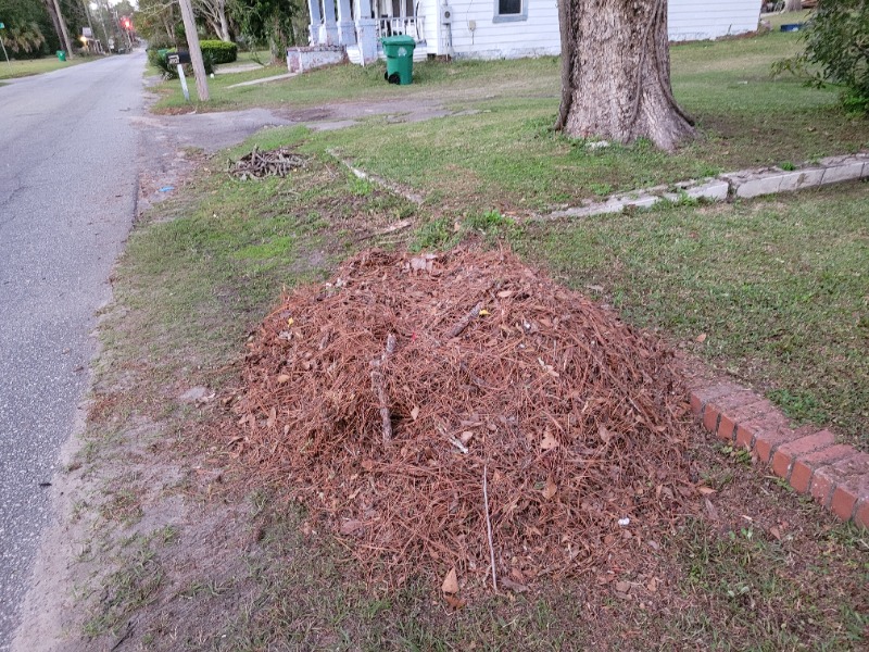 Elevated Investments Lawn Care Services in Valdosta, GA