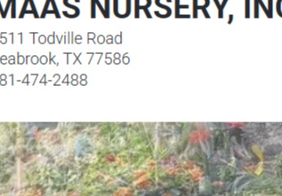 Best Nursery in Pasadena Texas 2