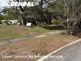 Lawn Mow nearby Winter Park, FL, 