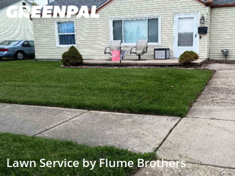 Lawn Care nearby Roseville, MI, 