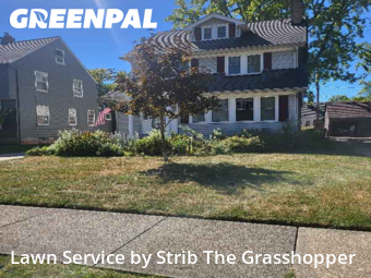 Lawn Mowing in Euclid, 44123, Yard Cutting by Strib The Grasshopper, work completed in Nov , 2025