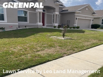 Lawn Mowingin Lakeland,33810,Yard Mowing by Leo Land Management , work completed in Jun , 2026