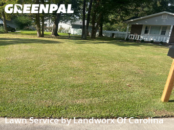 Grass Cutting nearby Myrtle Beach, SC, 