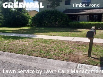 Lawn Cutin Brandon,33510,Yard Cutting by Lawn Care Management, work completed in Jun , 2026