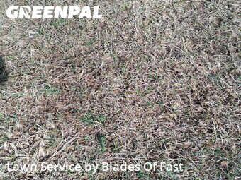 Yard Cutting nearby Atlanta, GA, 