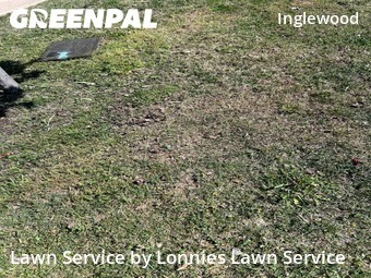 Landscaping Maintenance In Nashville,37207,Landscaping Maintenance by Lonnies Lawn Service, work completed in Apr , 2026