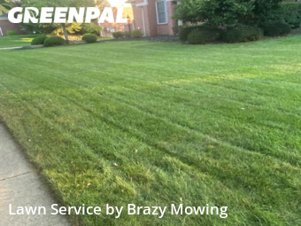 Grass Cut nearby Township Of Northville, MI, 