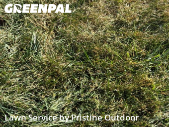 Lawn Mowing nearby Novi, MI, 