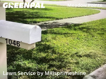 Lawn Mowing nearby Zephyrhills, FL, 