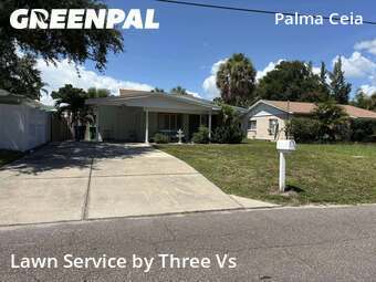 Grass Cut nearby Tampa, FL, 