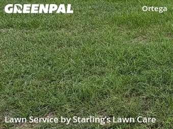 Lawn Mow nearby Jacksonville, FL, 
