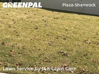 Yard Cutting nearby Charlotte, NC, 