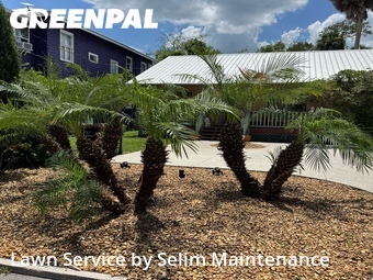 Lawn Cutting nearby St. Augustine, FL, 