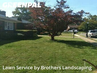 Yard Cutting nearby New Castle, DE, 