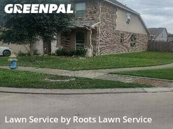 Grass Cut nearby The Preserve, TX, 