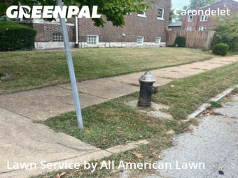 Lawn Care Service nearby St. Louis, MO, 