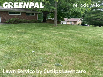 Lawn Care nearby Springfield, OH, 