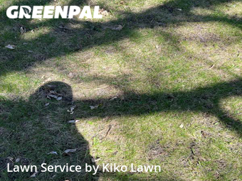 Lawn Cut nearby Minneapolis, MN, 