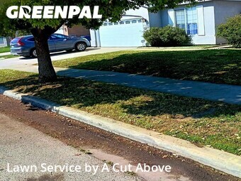 Work completed by professional-lawn-care-service-in-Tulare-CA