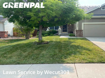 Lawn Cutting nearby Aurora, CO, 