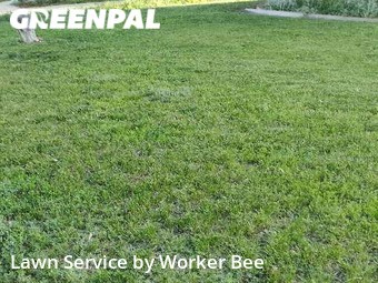 Grass Cutting nearby Denver, CO, 