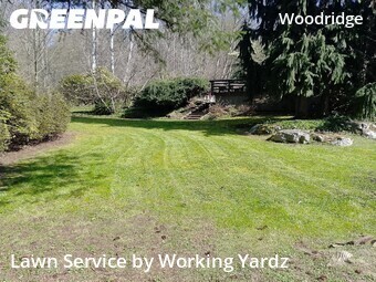 Affordable Landscaping Maintenance Services In Bellevue,98005,Landscaping Installation by Working Yardz, work completed in Apr , 2026