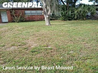 Lawn Cutting nearby Tampa, FL, 