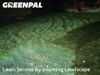 Yard Grooming in Centennial, 80112, Yard Services by Inspiring Landscape, work completed in Nov , 2025