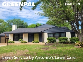 Lawn Care nearby Dallas, TX, 