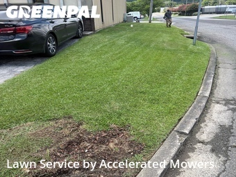 Lawn Care nearby Homewood, AL, 