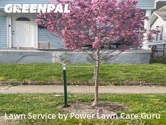 Lawn Cut nearby Hamilton, OH, 