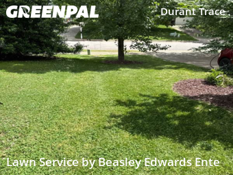 Grass Cutting nearby Raleigh, NC, 
