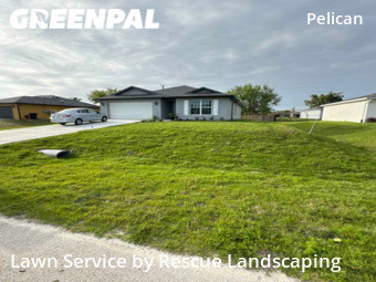 Lawn Care nearby Cape Coral, FL, 