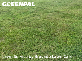 Grass Cut nearby Hendersonville, TN, 