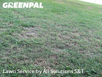 Lawn Mowing Service nearby Haines City, FL, 