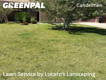 Lawn Mowing Service nearby Albuquerque, NM, 