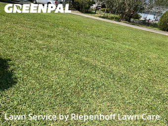 Grass Cutting nearby Lutz, FL, 