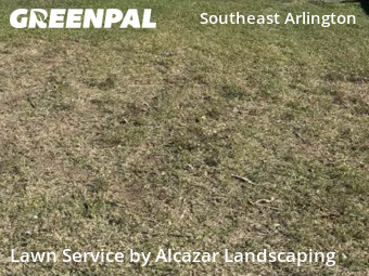 Grass Cut nearby Arlington, TX, 