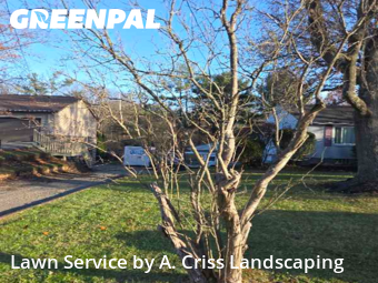 Yard Mowing nearby Kent, OH, 